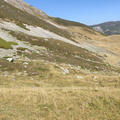 Mampodre (208)